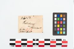 Etikett zu Bronzerad (NHMW-PRAE-026153)
